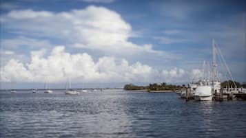 Blick von der Unterkunft