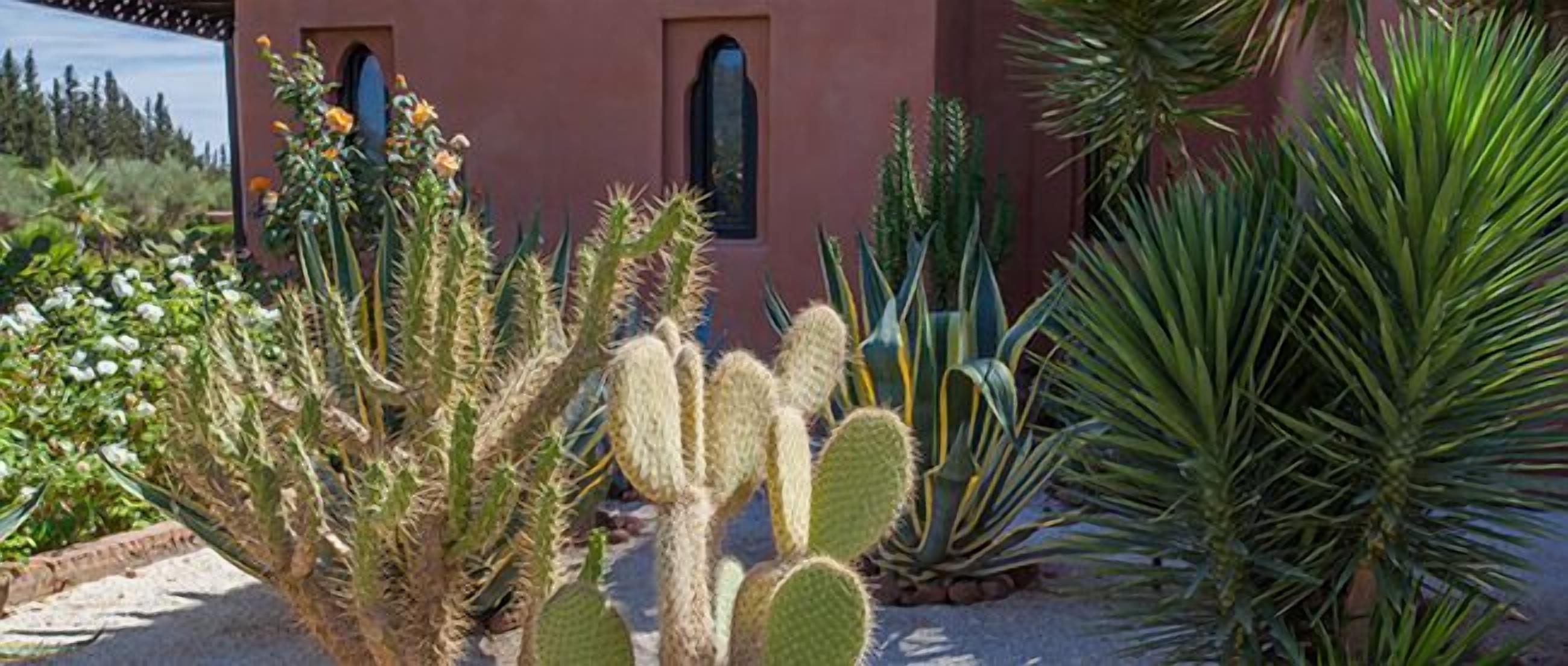 Foto - Le Rubis Oriental Marrakech