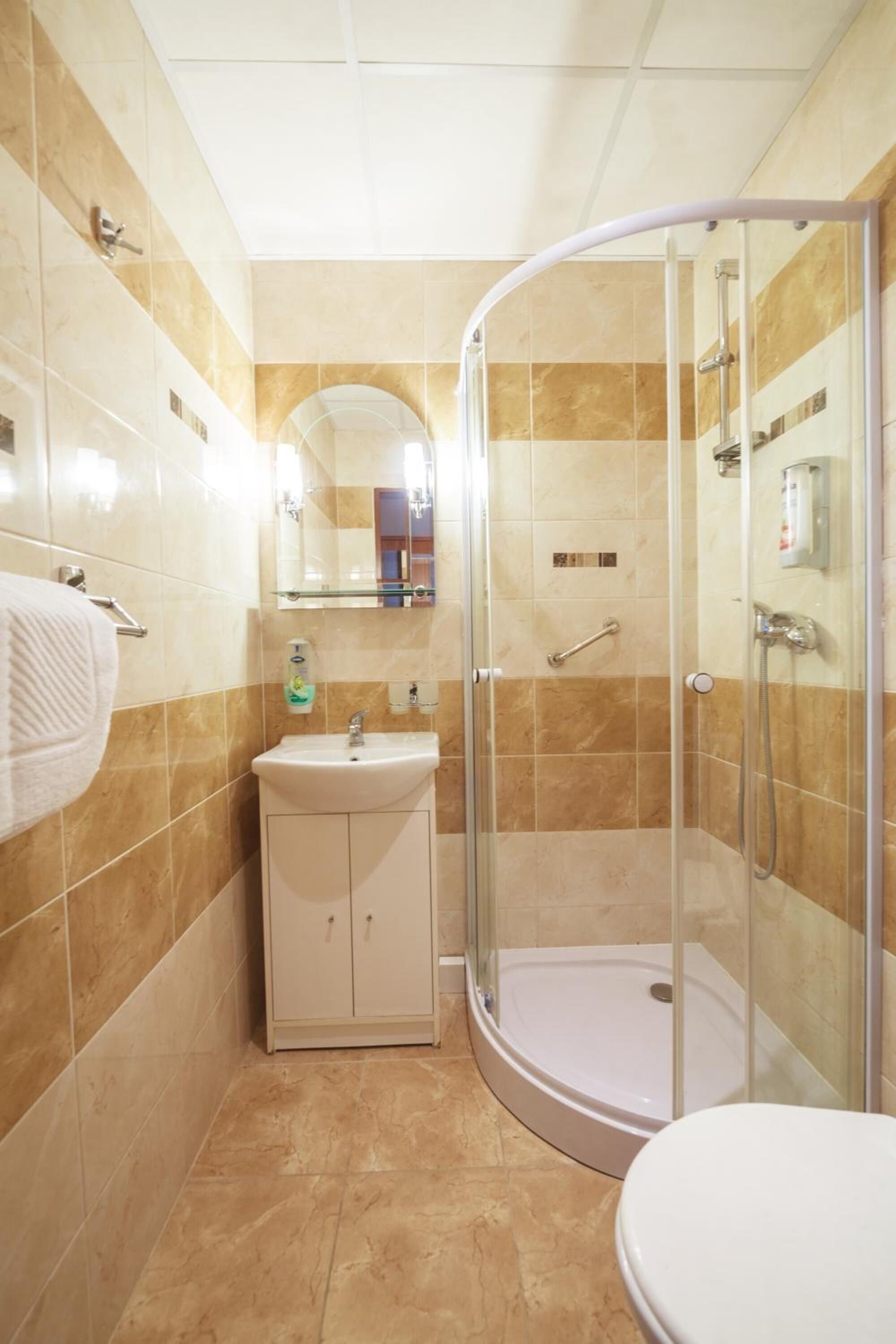 Une salle de bain avec une douche à parois de verre, un lavabo avec un miroir au-dessus et des toilettes.