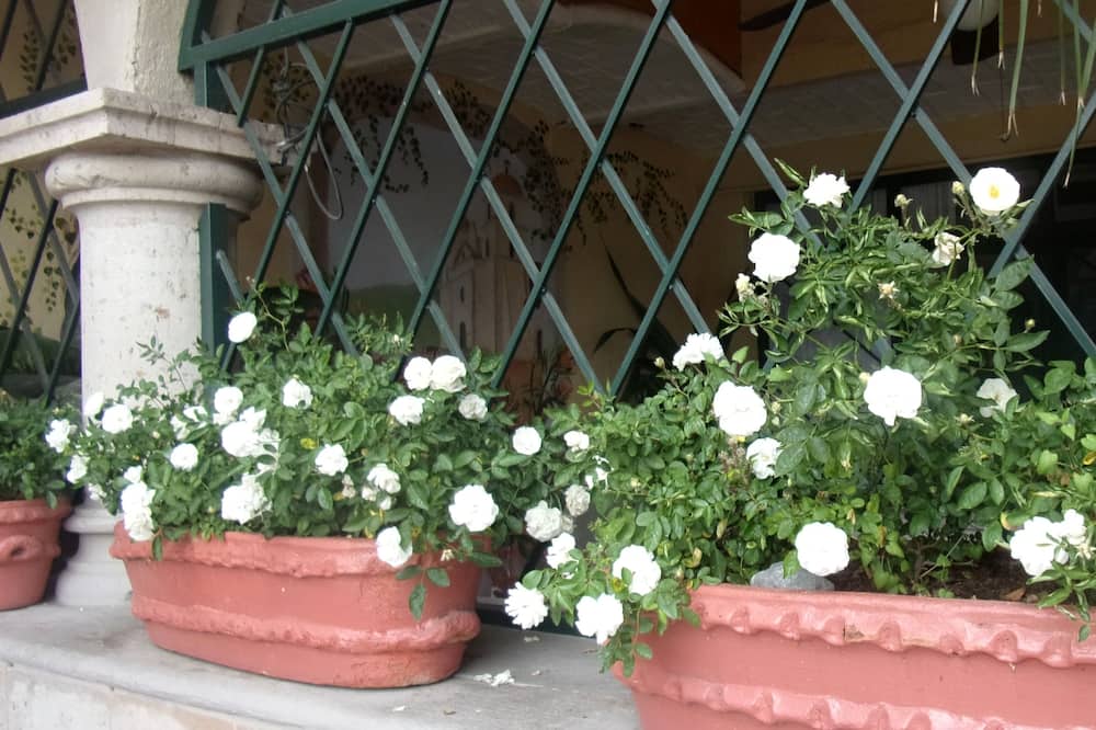 Casita Montana Hotel and Suites