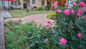 A garden with pink flowers and a pathway leading to a building with a brick facade. - The Crest Motel in Colorful Colorado (Sterling)