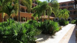 Un patio con palmeras y un camino empedrado.