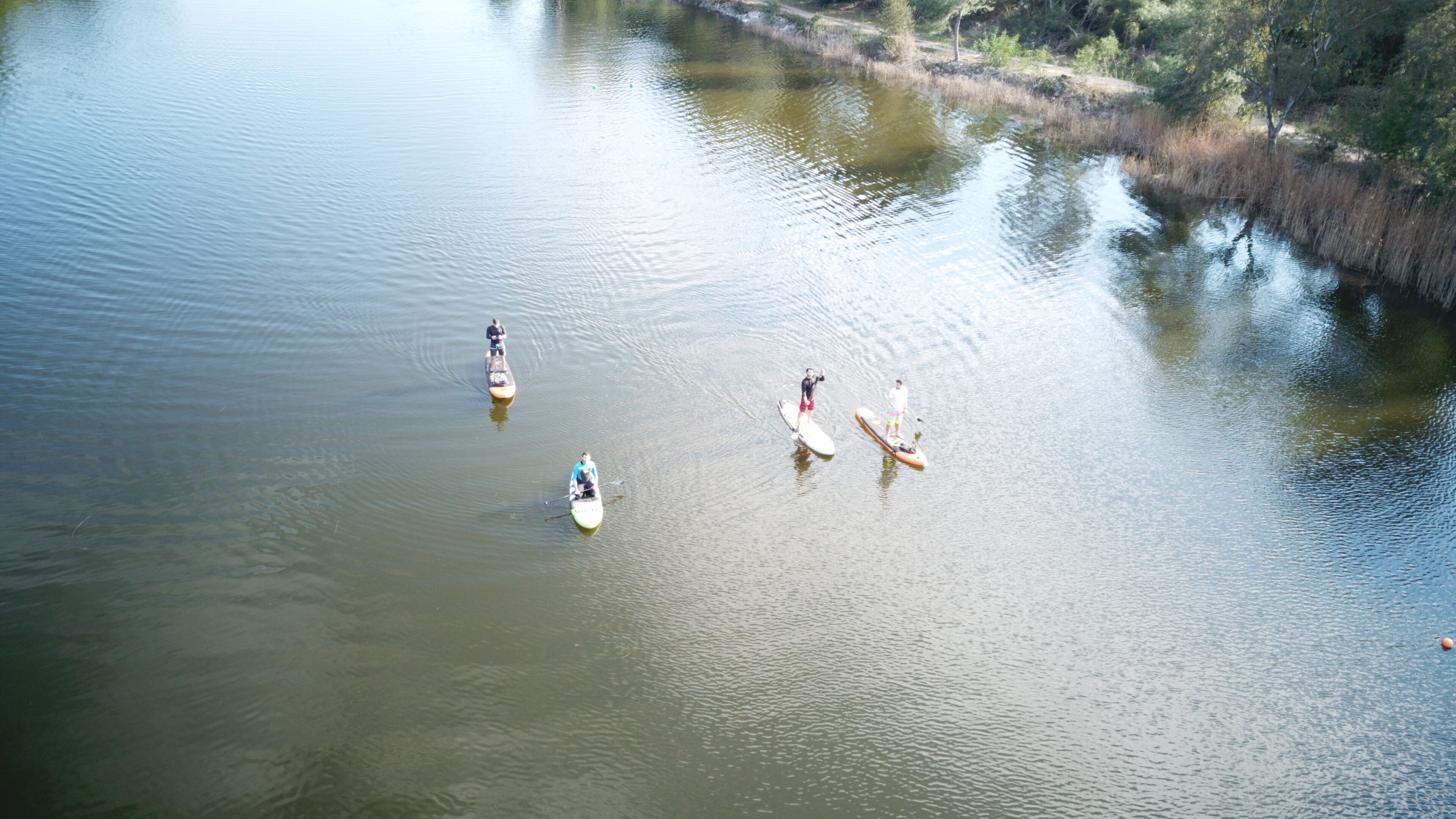 A calm river with several people paddleboarding.