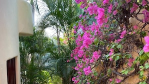 A narrow outdoor corridor with a white wall on one side and a wall covered in pink bougainvillea flowers on the other. There are potted plants and a palm tree in the background. - Villa Punta Sta Cruz 3BR (Santa María Huatulco)