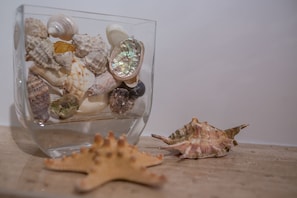 Ein Glasbehälter mit verschiedenen Muscheln und einem Seestern auf einer ebenen Fläche.