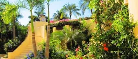 A tropical resort with palm trees, a curved pathway, and lush greenery.