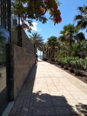 المنطقة المحيطة بالمنشأة