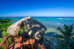 Property grounds - Casa de Suenos (Roatan)