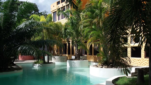 A pool area with clear water, surrounded by palm trees and a building with a textured facade.