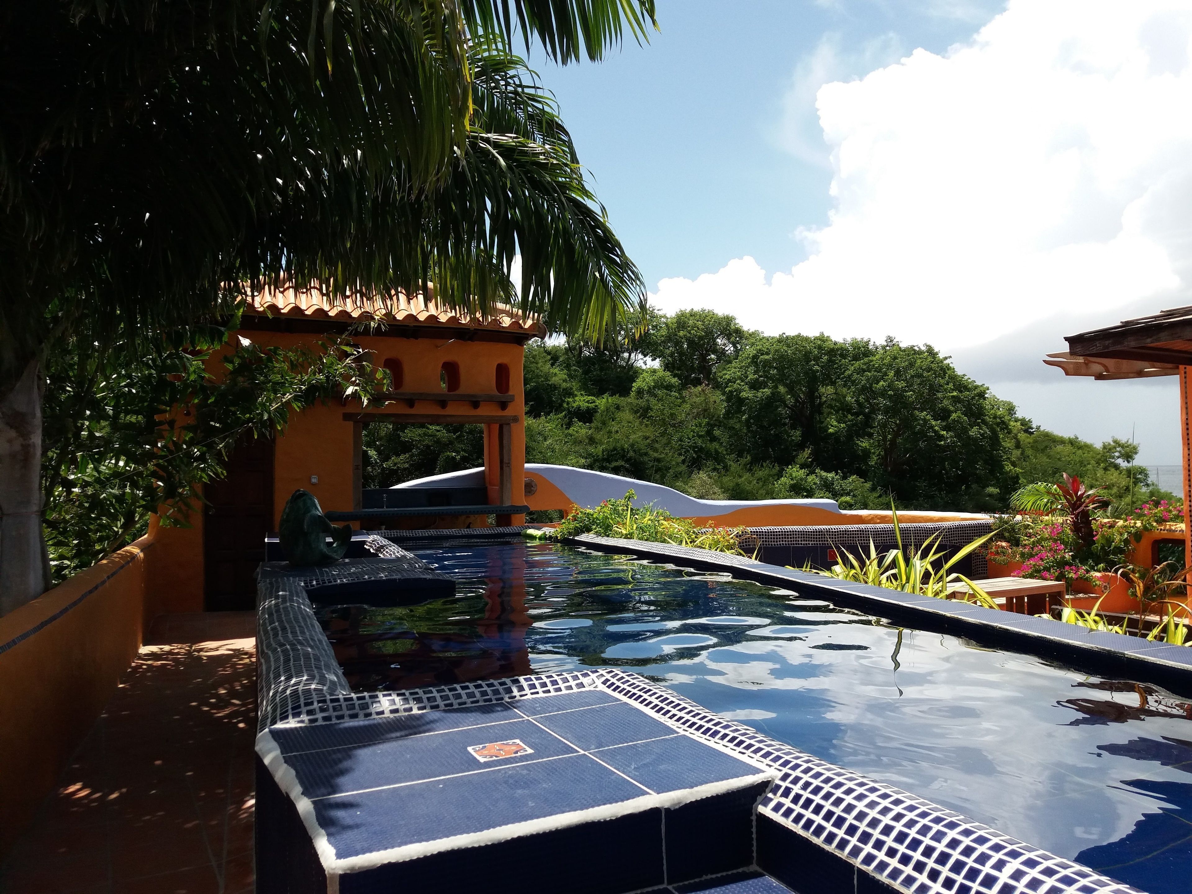 A swimming pool with a tiled deck, surrounded by lush greenery and a clear sky.