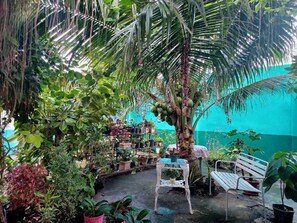 Taman