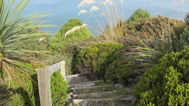 Vista de um lago cercado por vegetação, com uma escadaria de madeira que desce até a água.