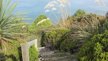 Vista des de l'allotjament