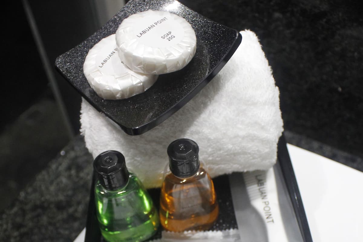 shower, free toiletries, hair dryer, bathrobes