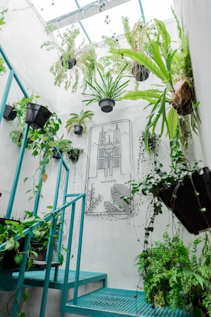 Un jardín vertical con diversas plantas y una escalera.