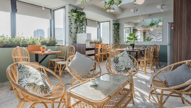 Un café moderne avec des meubles en osier, de grandes fenêtres et des plantes suspendues.