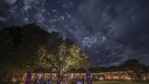 Un grupo de personas reunidas alrededor de una fogata bajo un árbol grande por la noche, con un edificio al fondo.