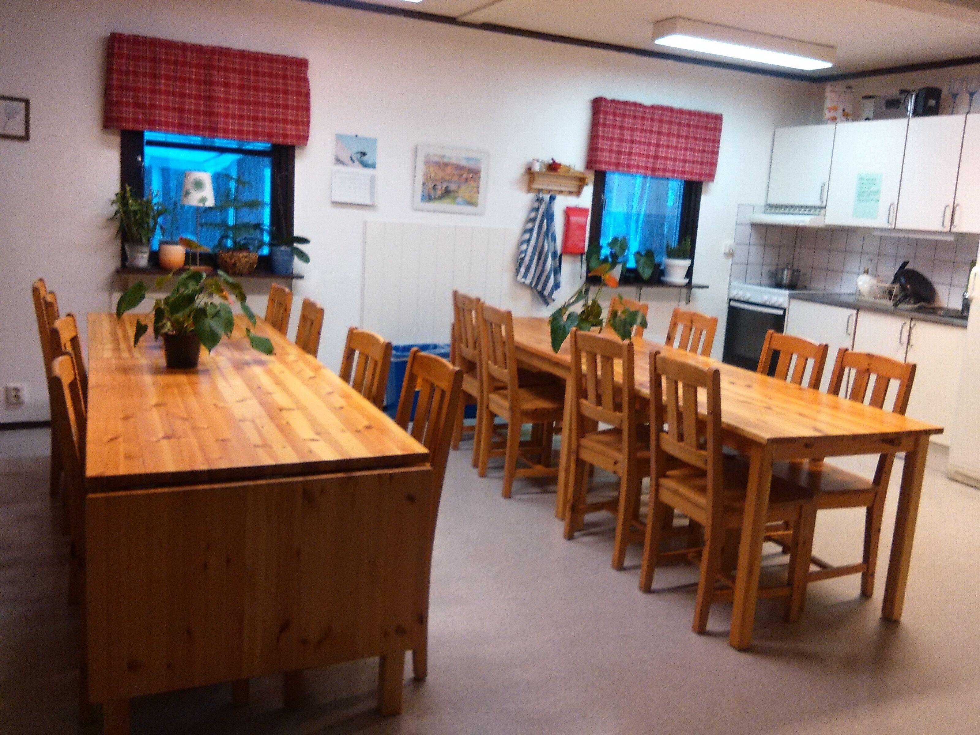 Un comedor con una larga mesa de madera y sillas, una planta en maceta y una cocina al fondo.