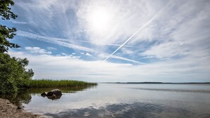 A calm lake with a clear sky, a sandy shore, and some vegetation.