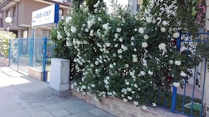 Exterior detail - Sun City Apartments (Sunny Beach)