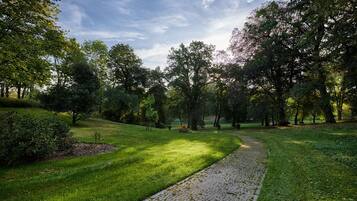 A paved pathway in a park with lush green grass and trees.