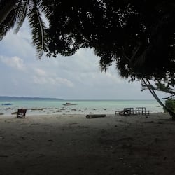 On the beach
