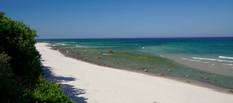 Reetland am Meer