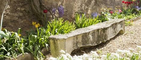 Un jardín con un banco de piedra, enredaderas moradas con flores y diversas plantas.
