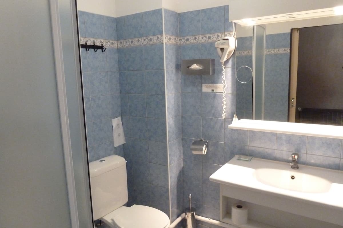 standard double room | bathroom | free toiletries, hair dryer, towels