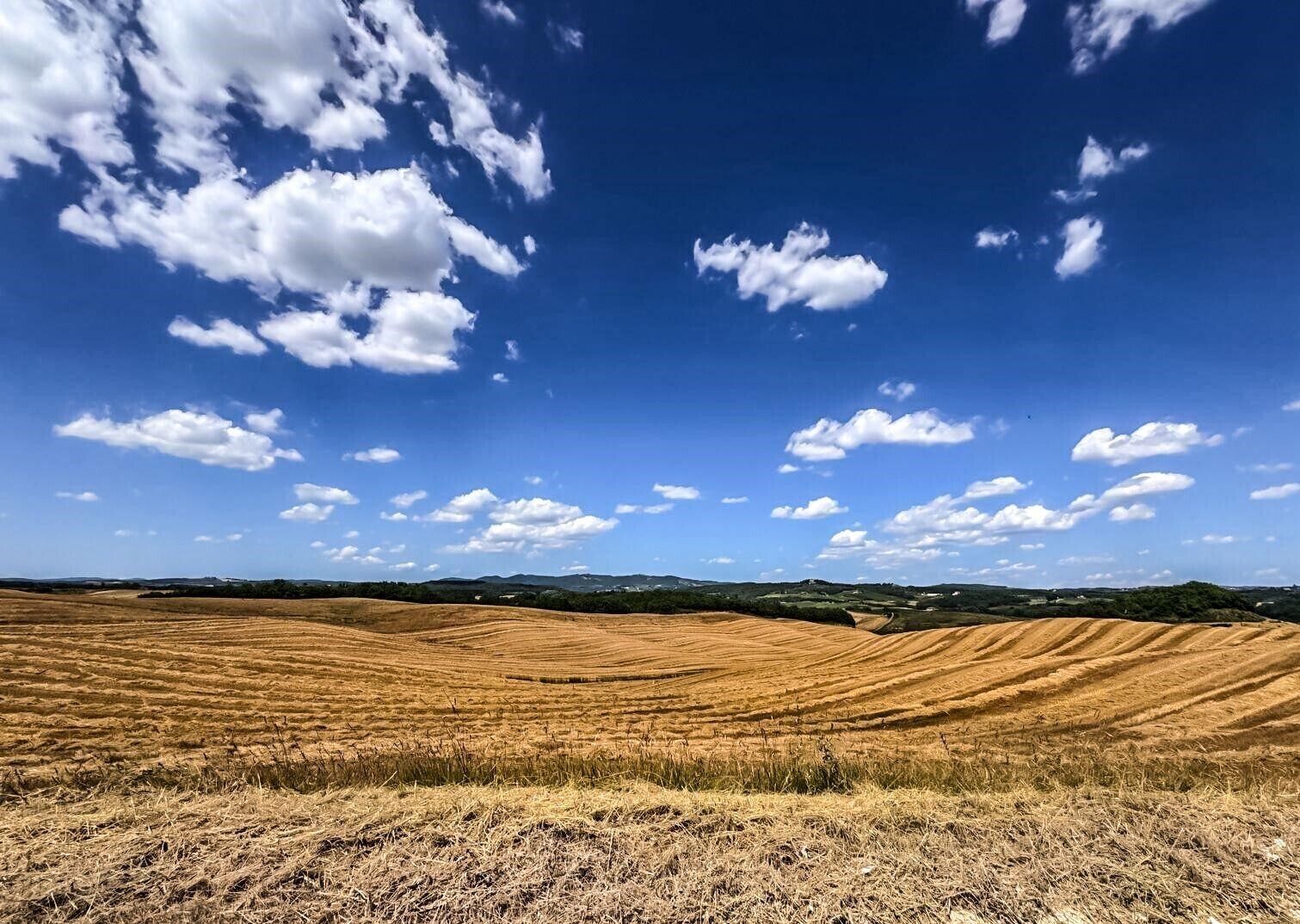 A vast, open field with rolling hills under a clear blue sky with scattered clouds.
