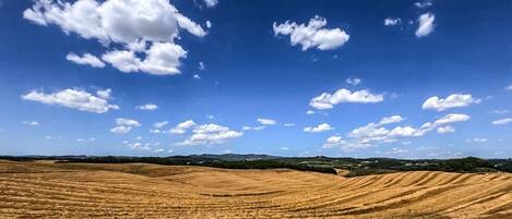 A vast, open field with rolling hills under a clear blue sky with scattered clouds.
