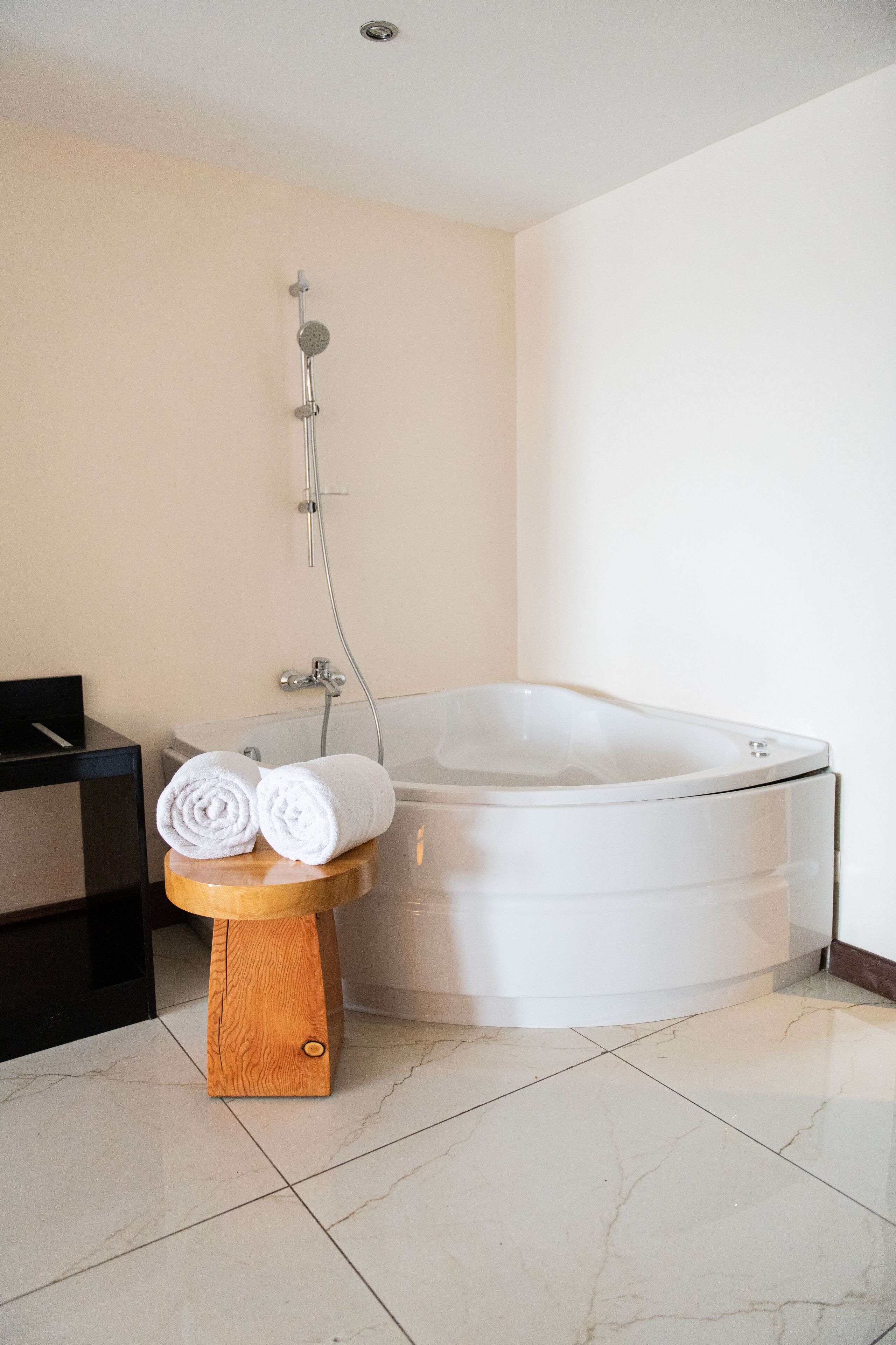 suite, lake view | bathroom | shower, free toiletries, hair dryer, bathrobes