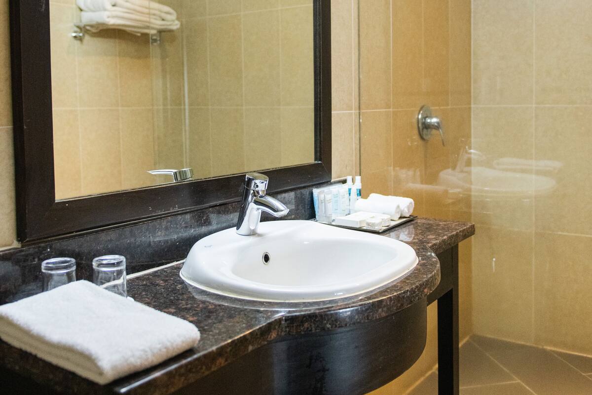 shower, free toiletries, hair dryer, bathrobes