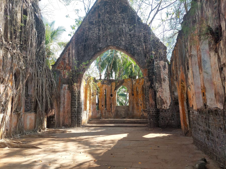 Una estructura antigua de piedra con un arco central, rodeada de vegetación exuberante.