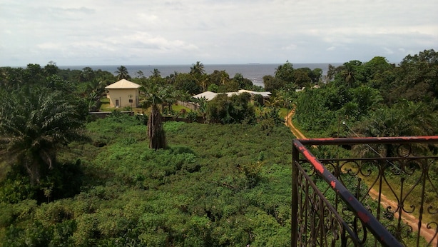 A lush green landscape with a pathway leading to a small building. - Hôtel Lobé (Kribi)