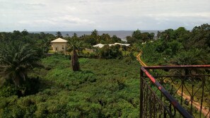 Un paisaje verde exuberante con un camino que lleva a un edificio pequeño.