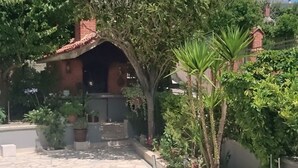 Un patio con suelo de mosaico, rodeado de follaje y un edificio de ladrillo con tejado rojo.