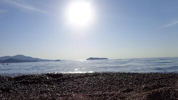 Ranta