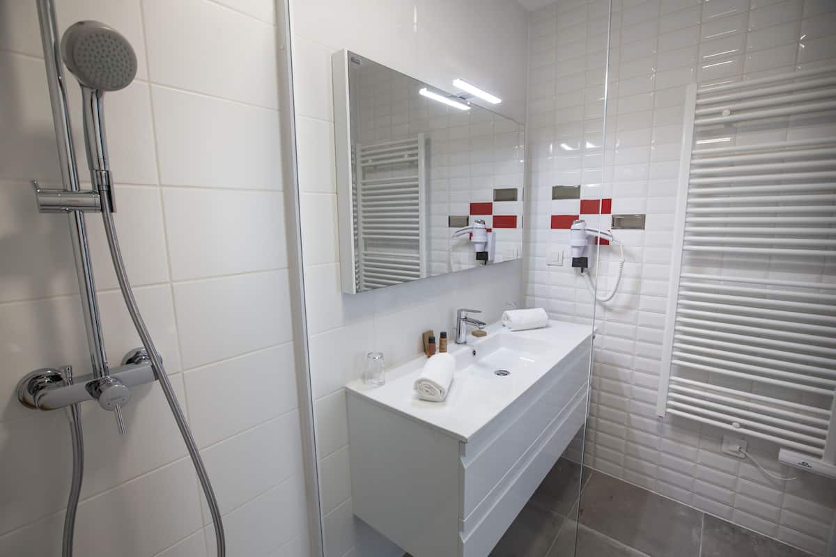 twin room | bathroom | shower, free toiletries, hair dryer, towels