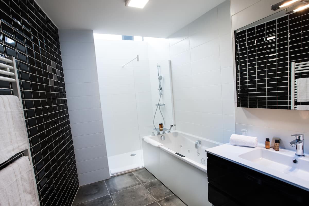 prestige room | bathroom | shower, free toiletries, hair dryer, towels