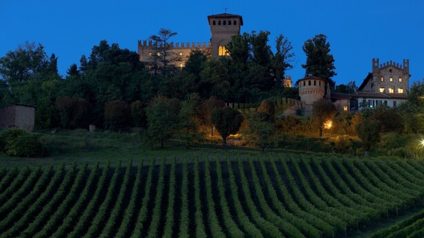 Un castillo con una torre, rodeado de árboles y un viñedo.