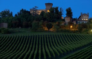 A castle with a tower, surrounded by trees and a vineyard. - Castello di Gabiano (Gabiano)