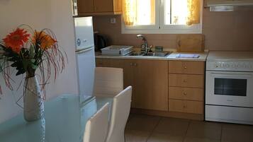 Superior Apartment, 2 Bedrooms, Terrace | Private kitchen | Fridge, coffee/tea maker, electric kettle