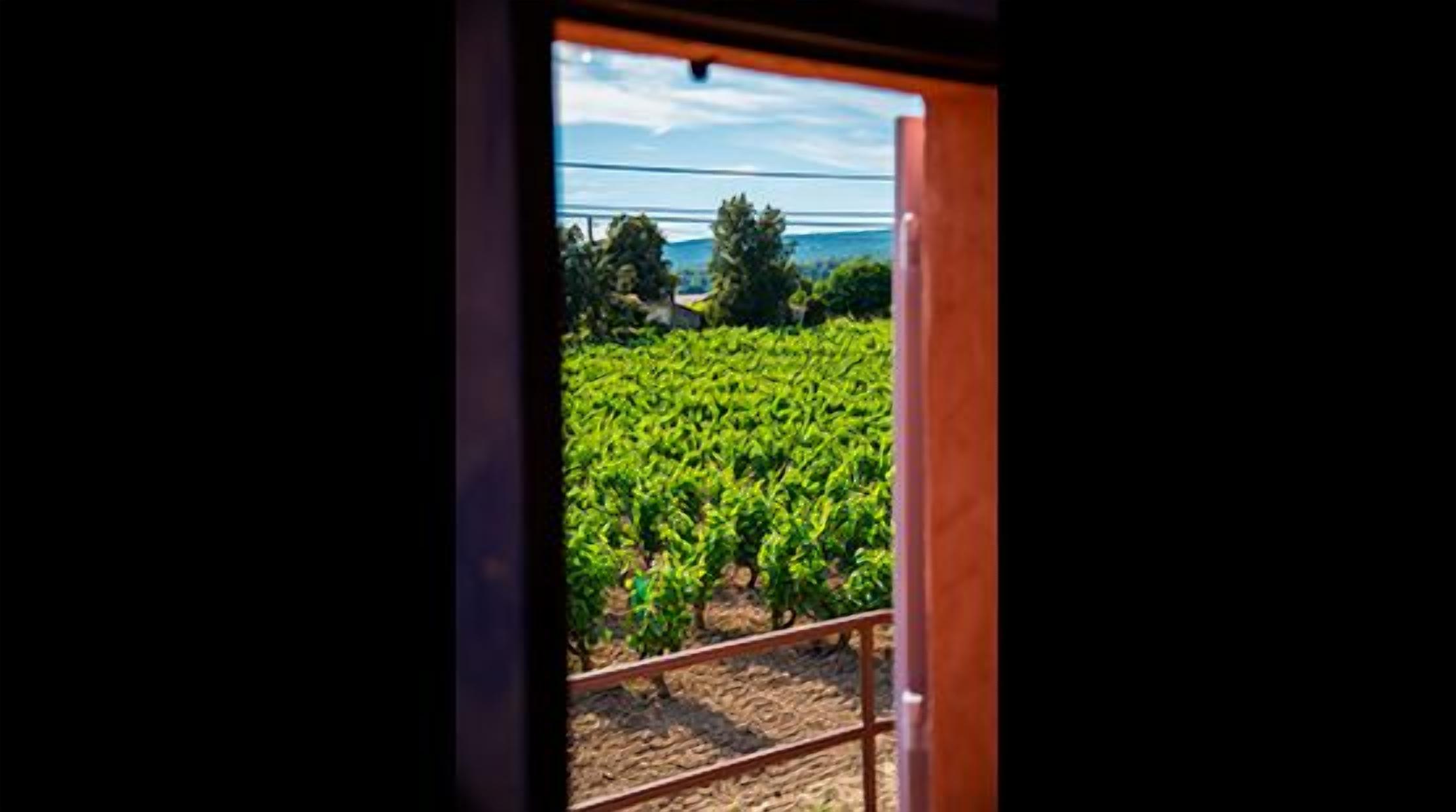 Apartment (Torreta ) | Ausblick vom Zimmer