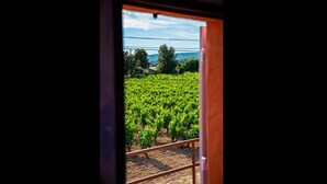 Apartment (Torreta ) | View from room