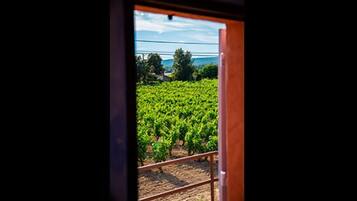 Apartment (Torreta ) | Ausblick vom Zimmer