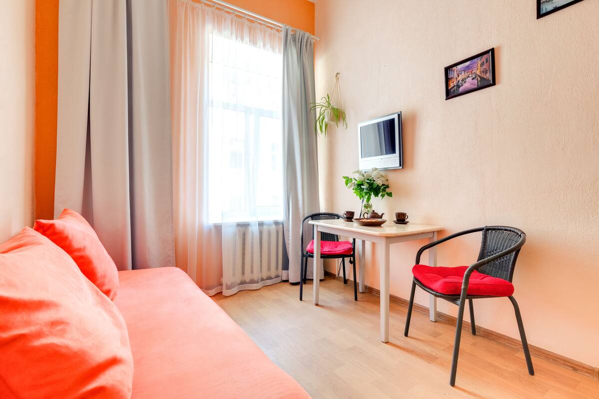 A hotel room with a bed, a desk, a chair, a television, and a plant.