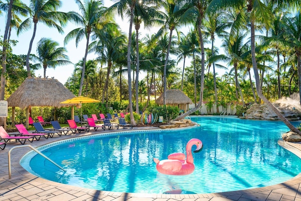 Outdoor pool, sun loungers