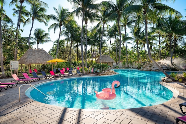 室外游泳池,日光浴躺椅