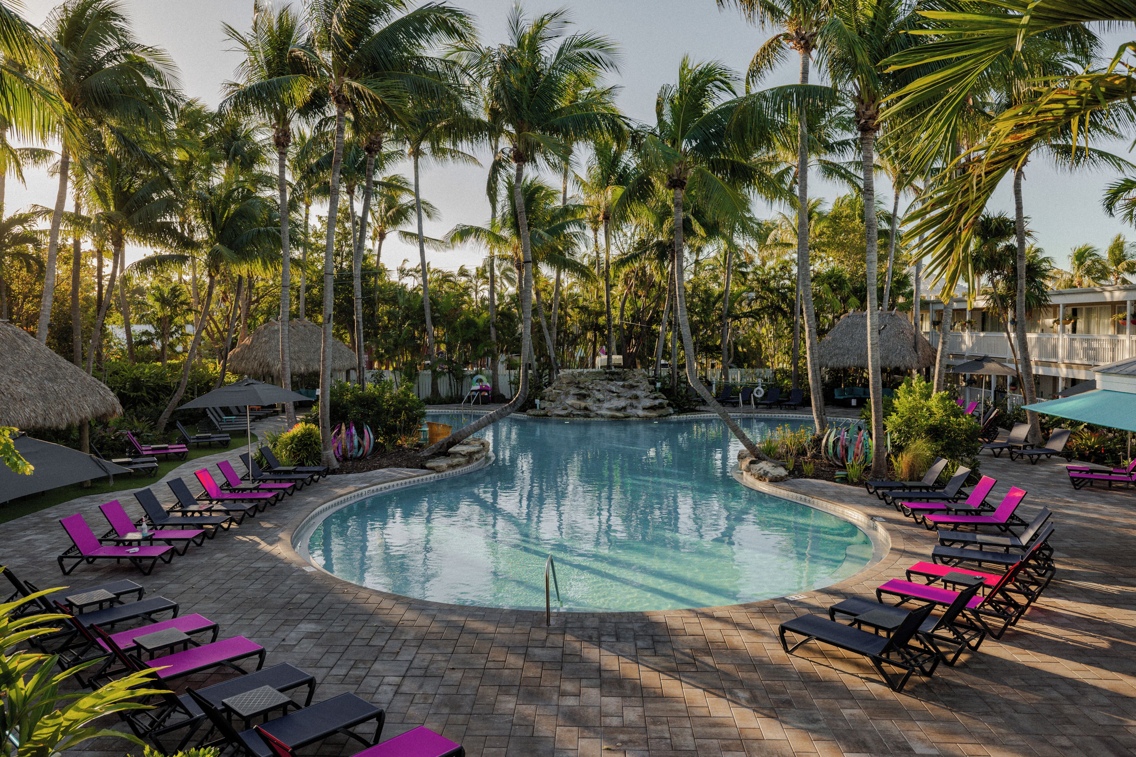 A pool area with lounge chairs and palm trees.